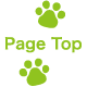 ▲ページトップへ